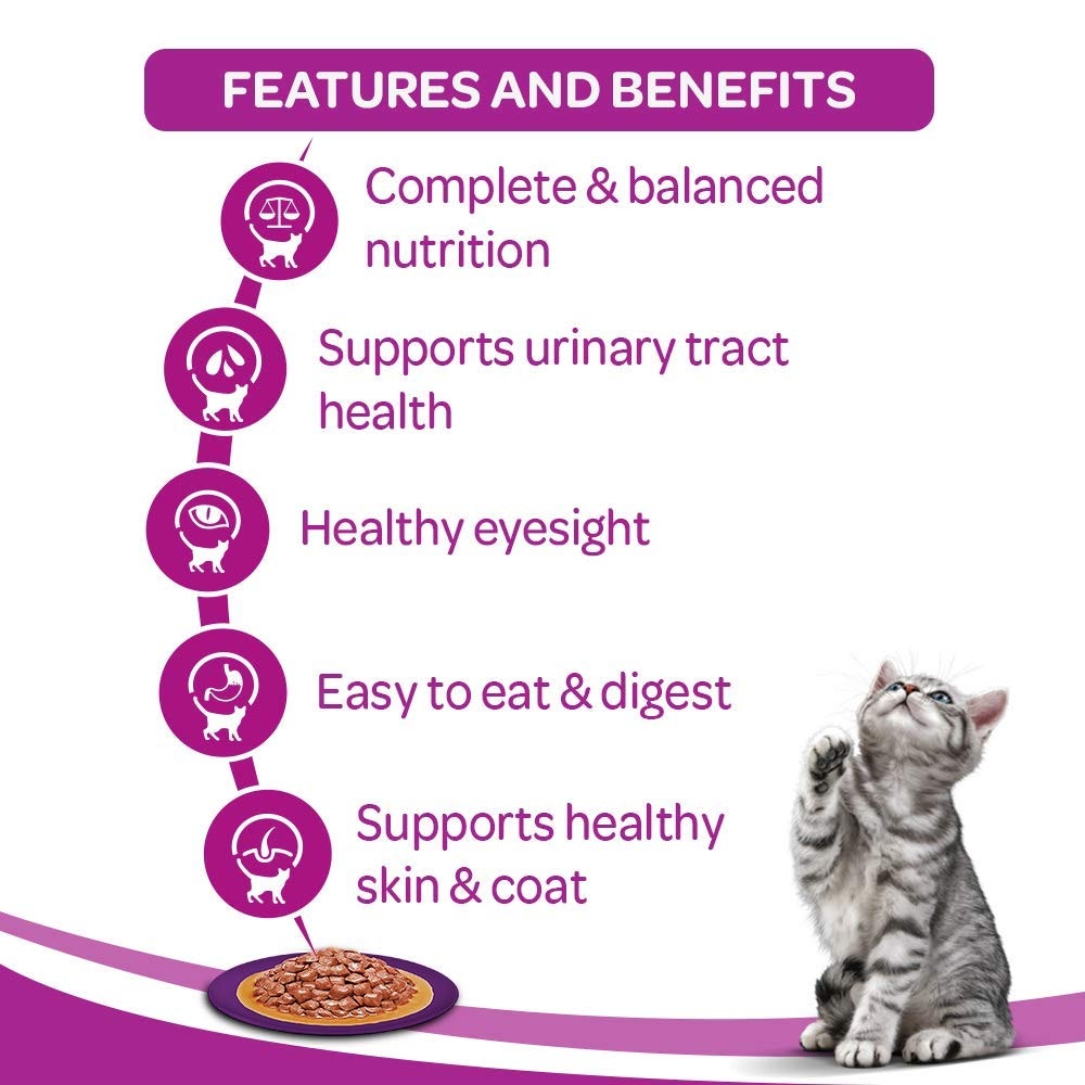 WHISKAS® Wet Food for Adult Cats (1+Years), Salmon in Gravy Flavour, 12 Pouches (12 x 80g) - 3