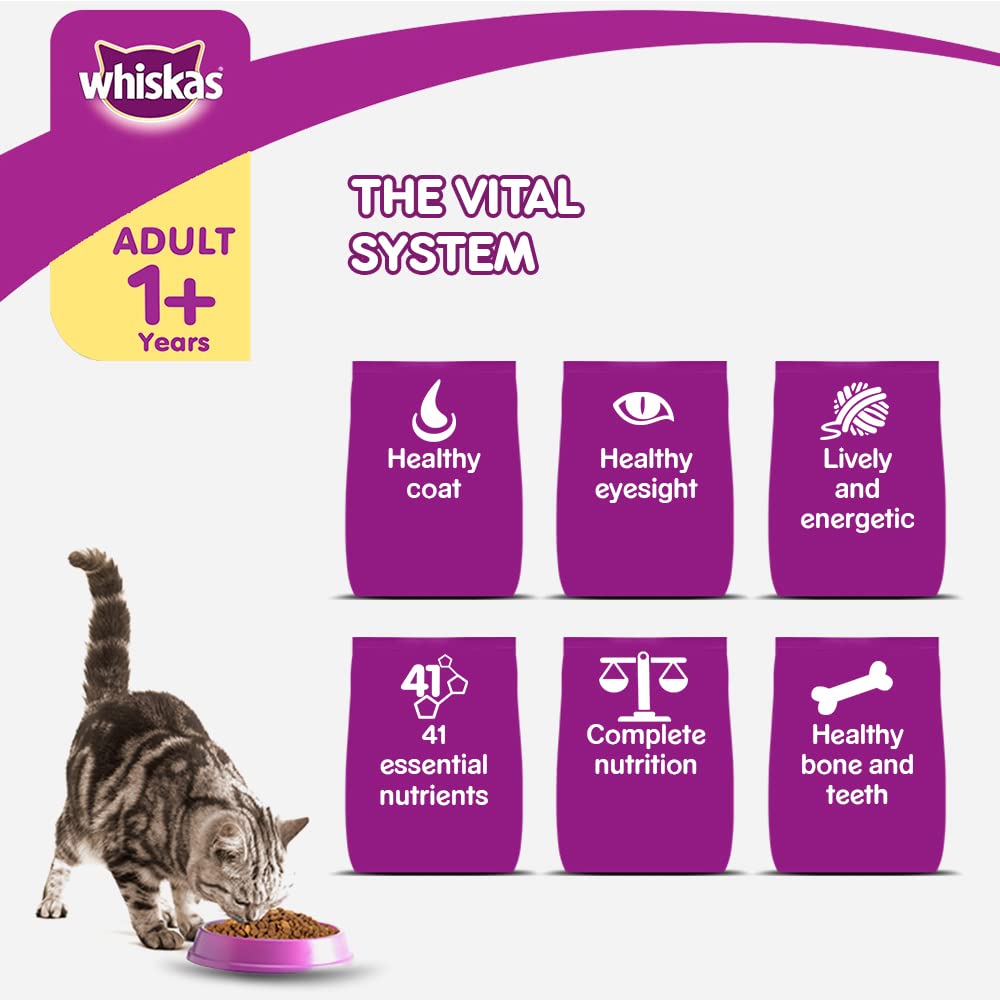 WHISKAS® Adult Dry Food, Grilled Saba - 4