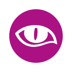 <p>Vitamin A and Taurine for Healthy Eyesight</p>