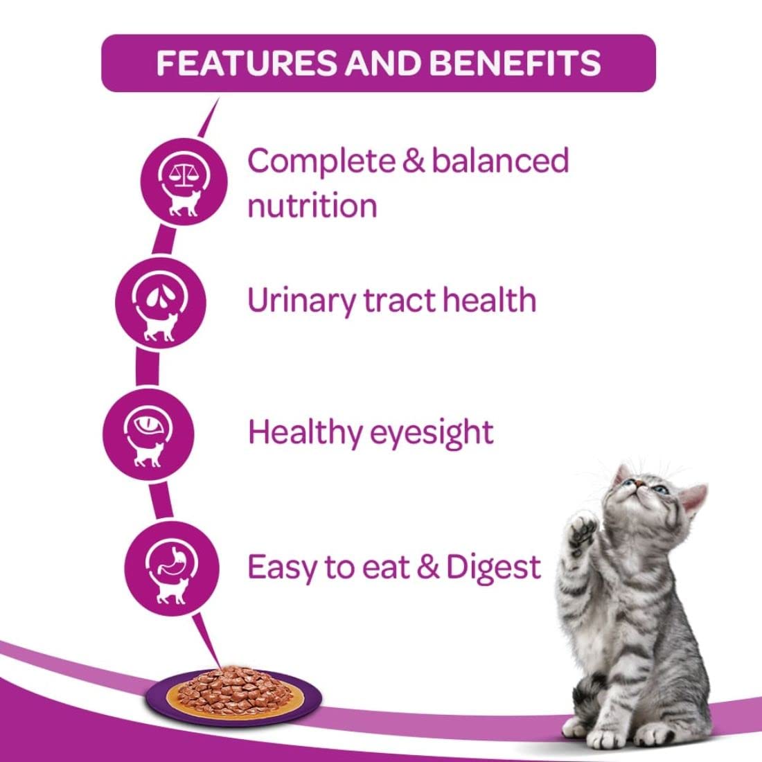 WHISKAS® Wet Cat Food for Adult Cats (1+Years), Ocean Fish, 12 Pouches (12 x 80g) - 3