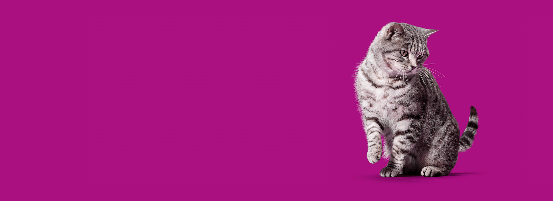Generic_1920x700
