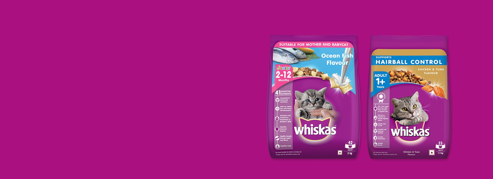 dry food