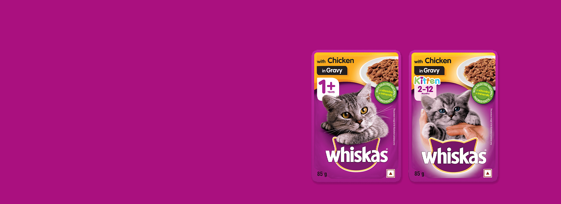 wet food