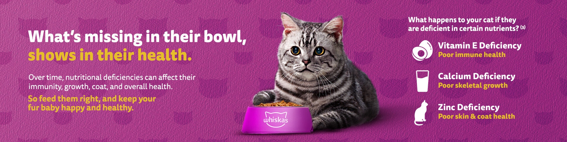 feed them right 