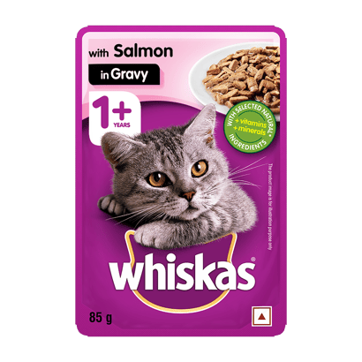 Whiskas® Adult Wet Food, Salmon in Gravy Pouch