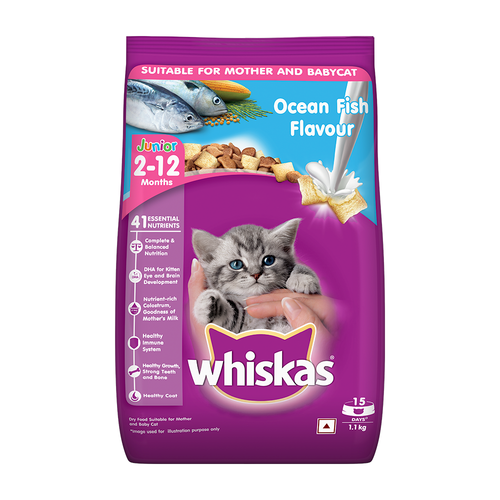 WHISKAS® Kitten Dry Food, Ocean Fish with Milk
