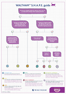 How can I tell if my cat is overweight?